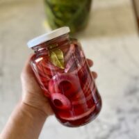 Cipolle rosse in agrodolce con aceto di frutta fatto in casa